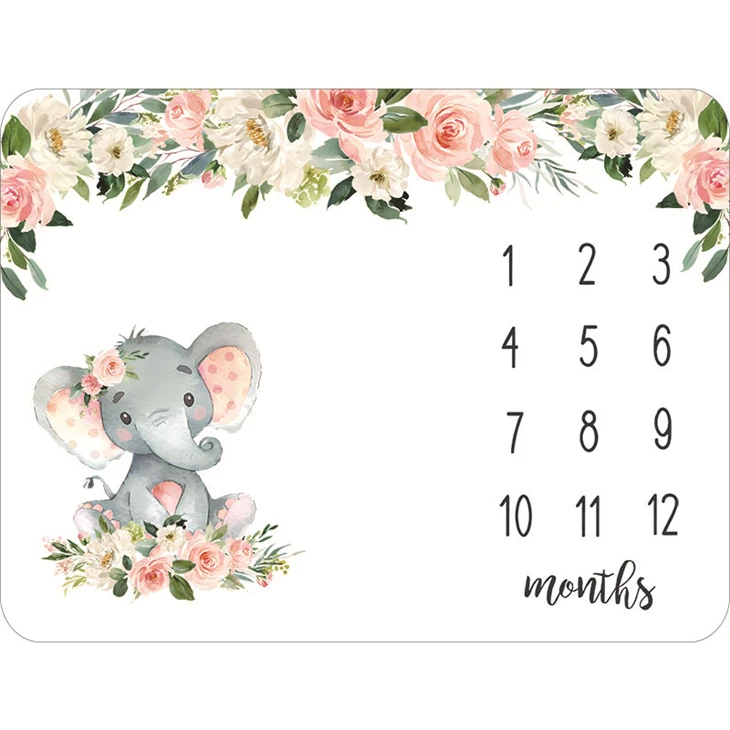 Baby Milestone Blanket 