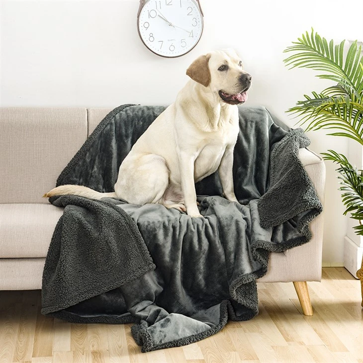 Pet Blanket Throw