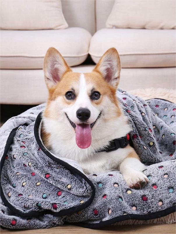 Pet Blanket Throw