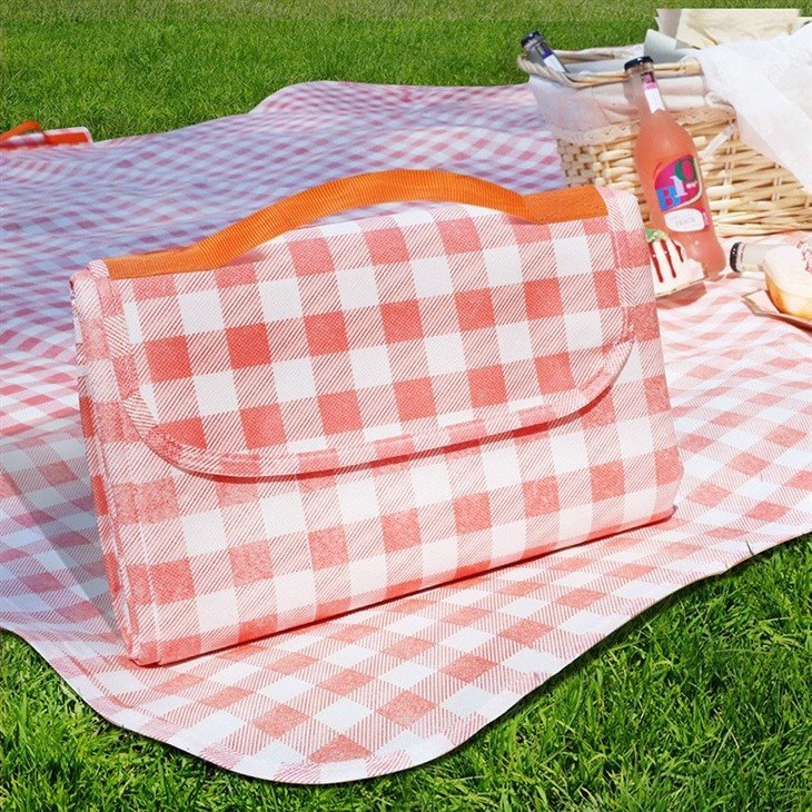pink picnic blanket