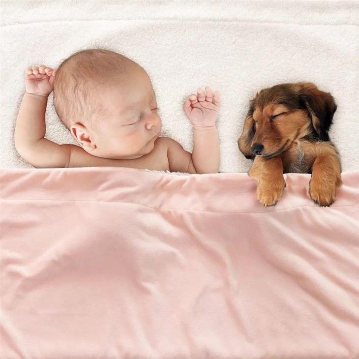 sherpa blanket for bed