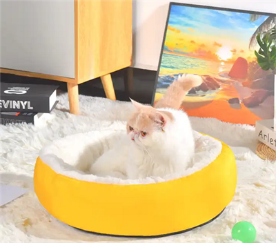 Gwely Anifeiliaid Anwes i Gŵn