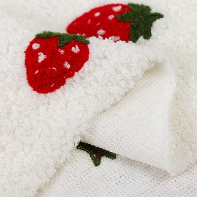 Teddy Fleece Fabric