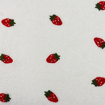Teddy Fleece Fabric