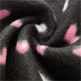 Double Side Poalr Fabric